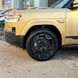 بي واي دي ليوبارد 7